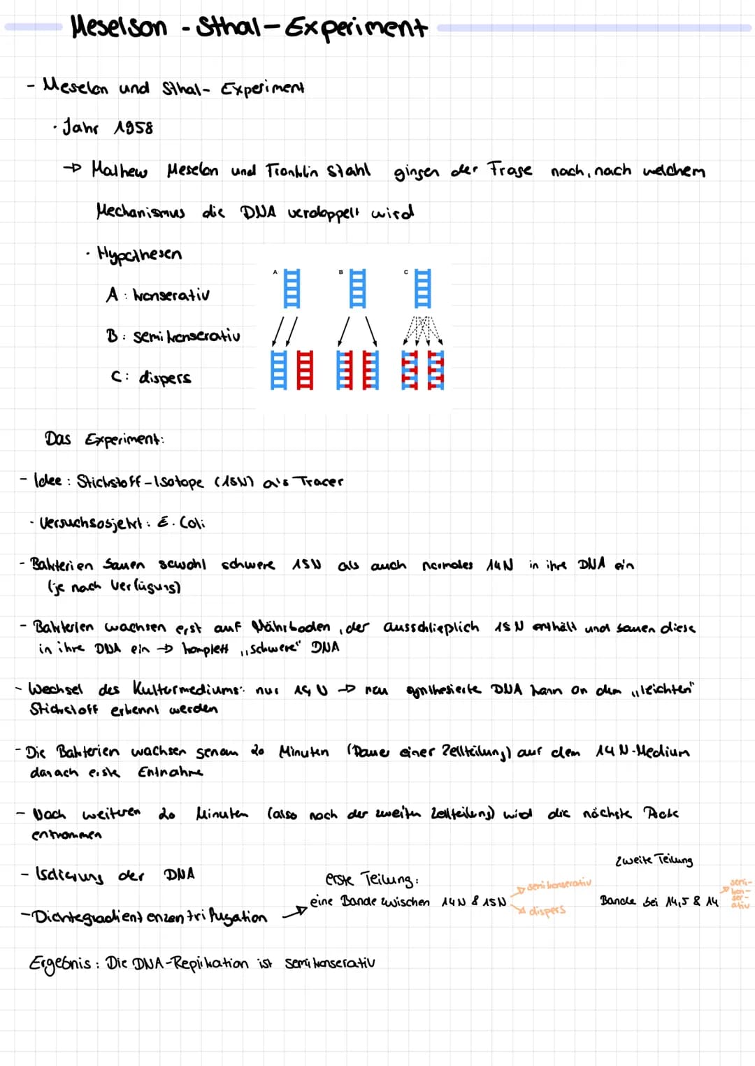 Meselson - Sthal-Experiment
- Meselen und sthal- Experiment
· Jahr 1958
.
Malhew Meselon und Frontulin Stahl
Mechanismus die DNA verdoppelt 
