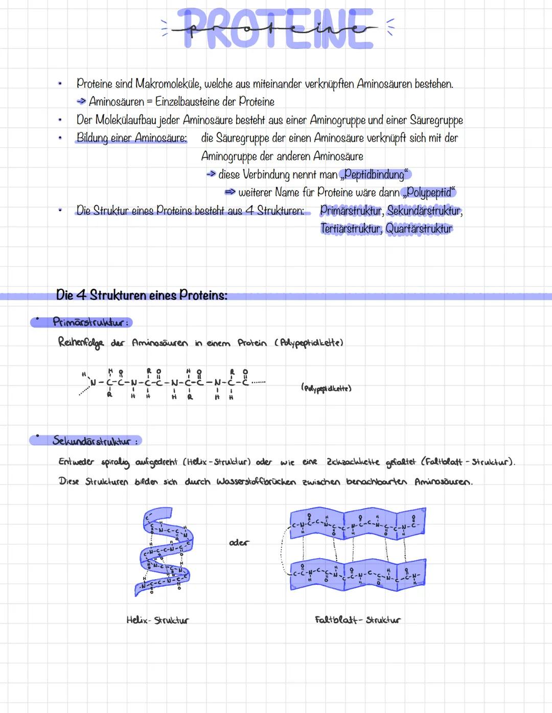 # PROTEINE

*   Proteine sind Makromoleküle, welche aus miteinander verknüpften Aminosäuren bestehen.
    → Aminosäuren = Einzelbausteine de