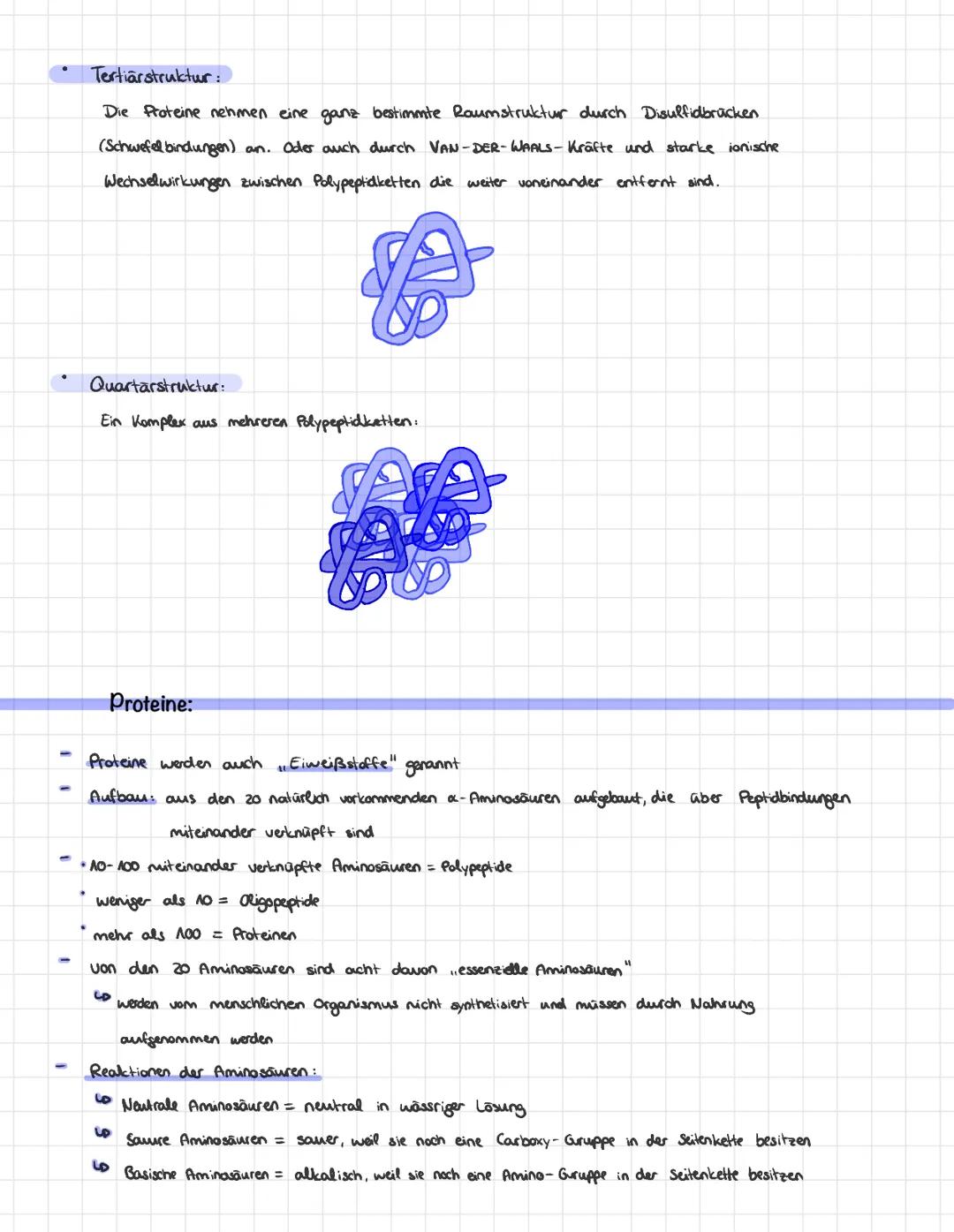 # PROTEINE

*   Proteine sind Makromoleküle, welche aus miteinander verknüpften Aminosäuren bestehen.
    → Aminosäuren = Einzelbausteine de