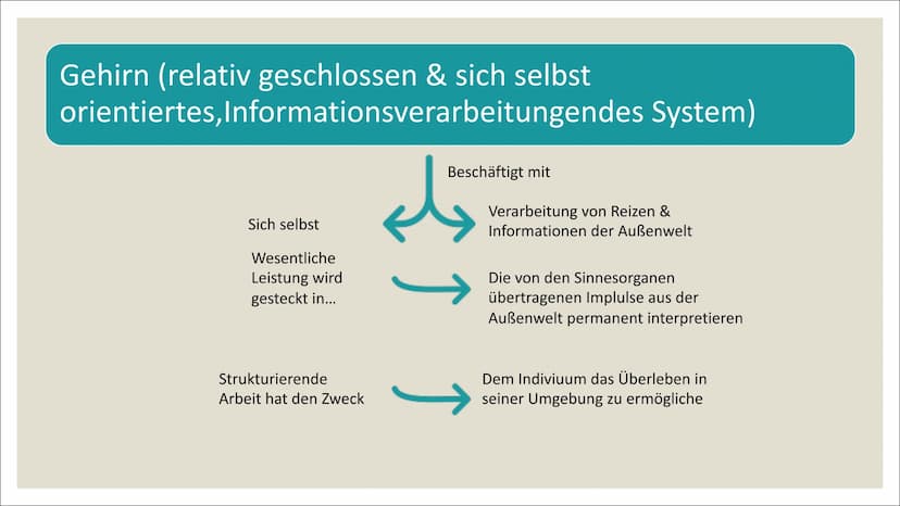 |(~) = Z but hak as
N-R-NED +
HO-K-d
2.
a.
Eine Präsentation von Lilith
AQ=AU.
A'-A
I^&(t)
KOGNITIVE ENTWICKLUNG
NACH PIAGET
204
CH₂OH
HOH
C