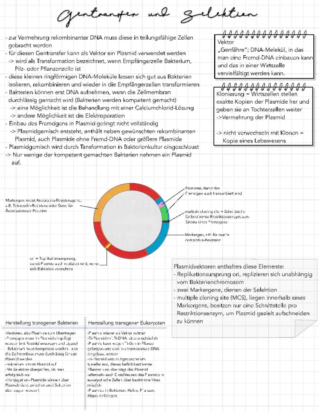 Gentransfer und Selektion 