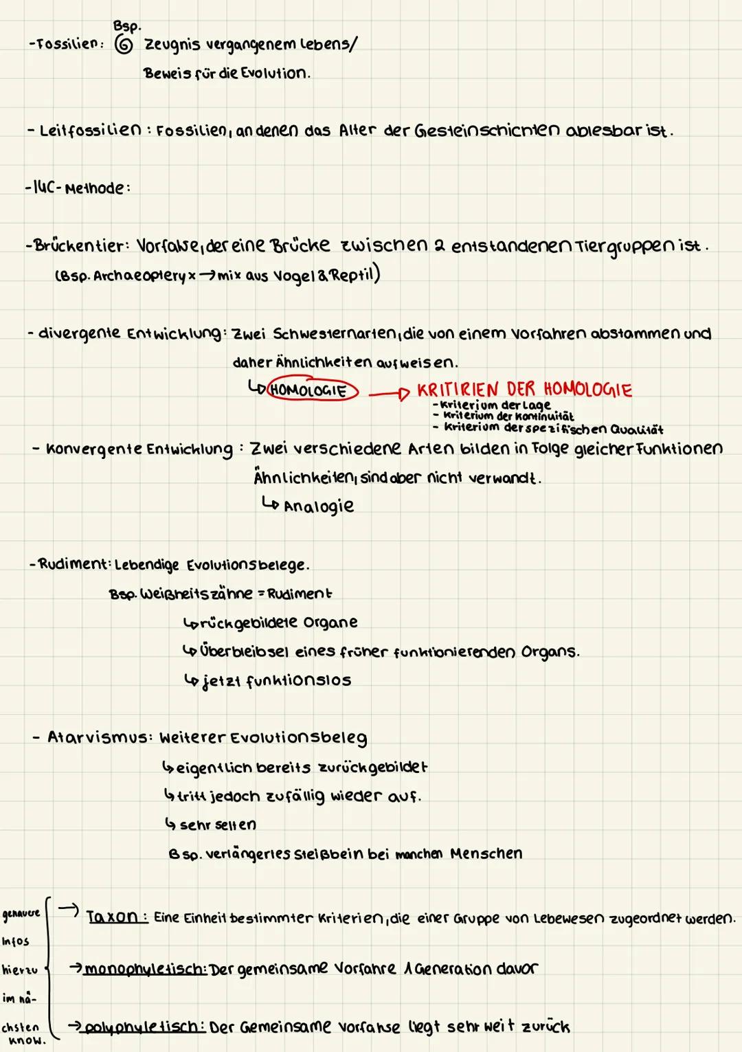 # Fachbegriffe
zu EVOLUTIONSTHEORIEN/mit Erklärungen

1) Synthetische Evolutionstheorie"
selektions-
Grundlage: Darwins theorie

Mutation Re