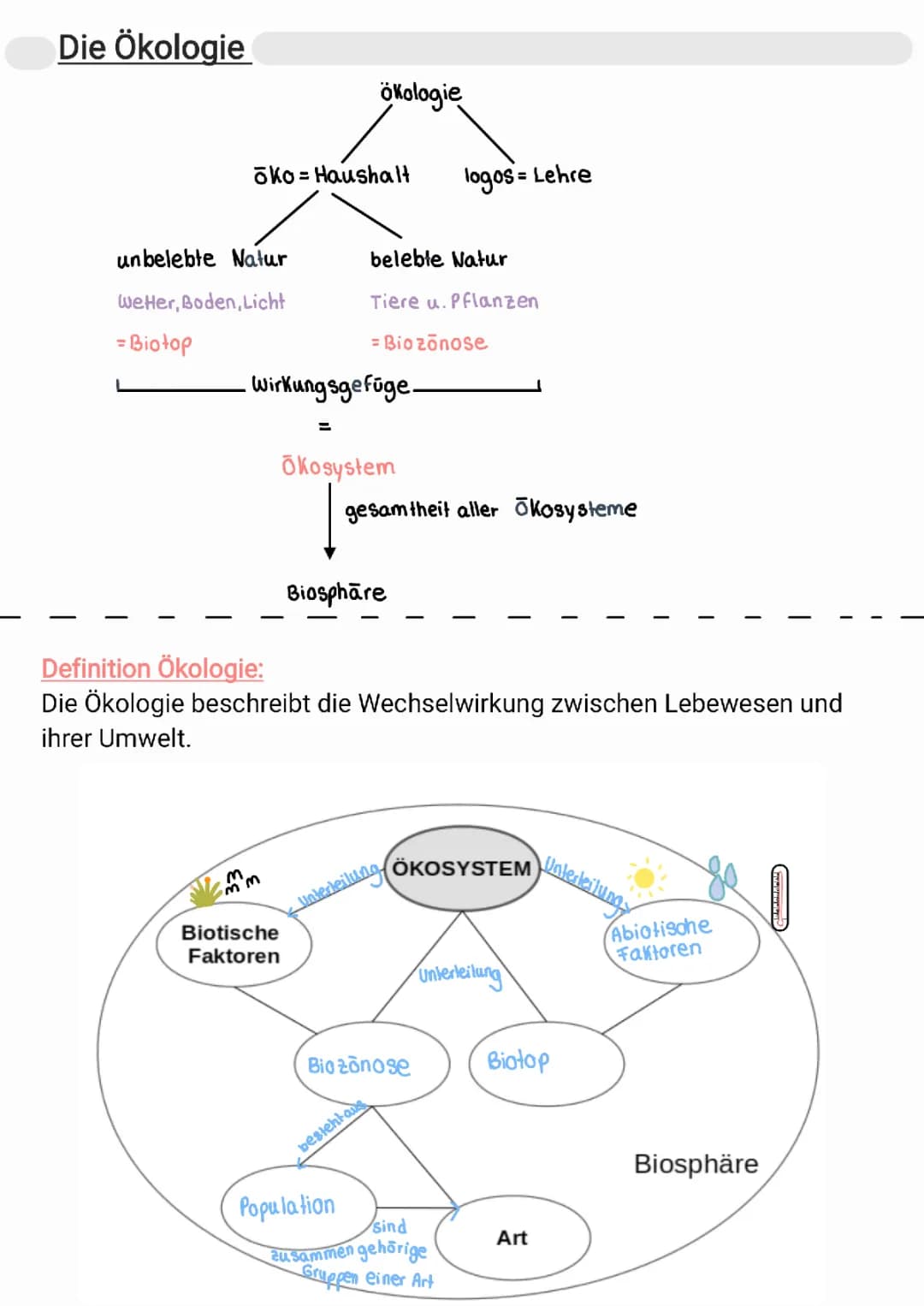 Die Ökologie 