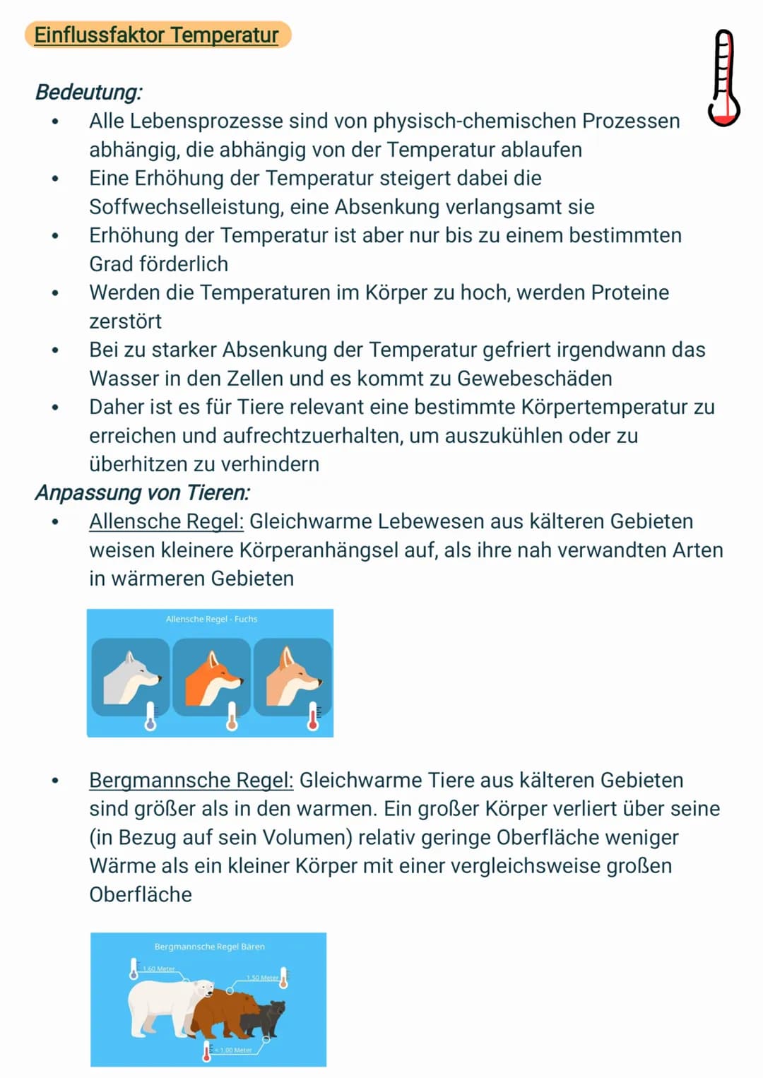 Die Ökologie
oko-Haushalt
unbelebte Natur
WeHer, Boden, Licht
= Biotop
- Wirkungsgefüge_
mmm
ökologie
Biotische
Faktoren
beleble Natur
Tiere