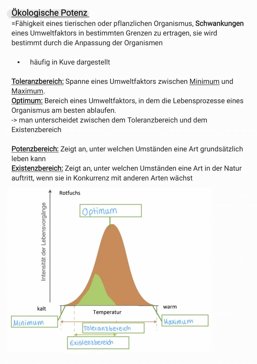 Die Ökologie
oko-Haushalt
unbelebte Natur
WeHer, Boden, Licht
= Biotop
- Wirkungsgefüge_
mmm
ökologie
Biotische
Faktoren
beleble Natur
Tiere
