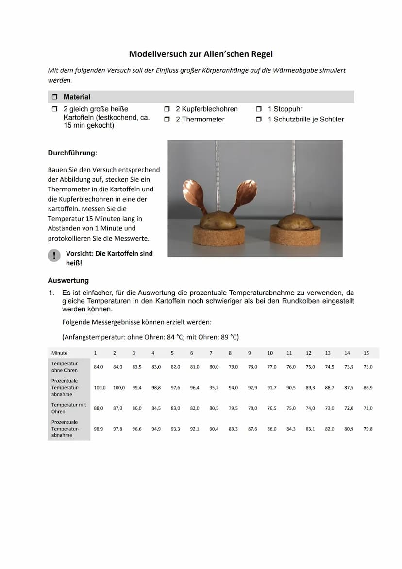 Daraus ergibt sich folgende Kurve:
Temperatur in °C
90
85
80
70
65
0
2
4
6
8
Zeit in Minuten
Temperatur ohne Ohren
10
12
Temperatur mit Ohre