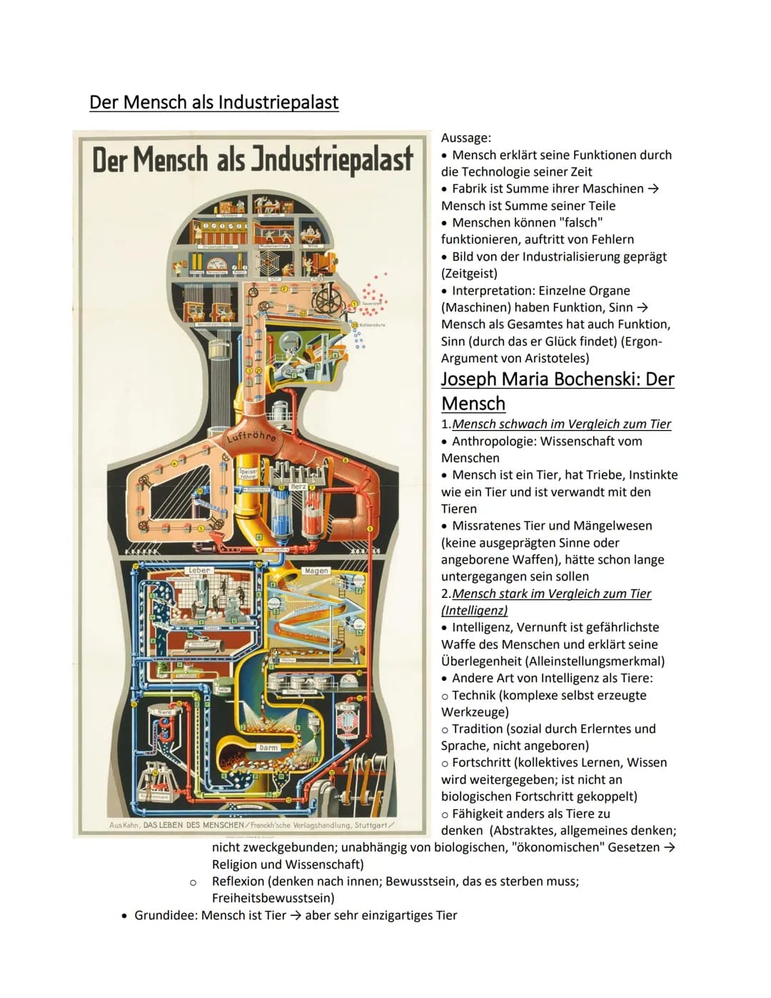 Anthropologie
Zitate: Anthropologie
Zitat
Welch ein Meisterwerk ist der
Mensch! Wie edel durch Vernunft!
Wie unbegrenzt an Fähigkeiten! In
G
