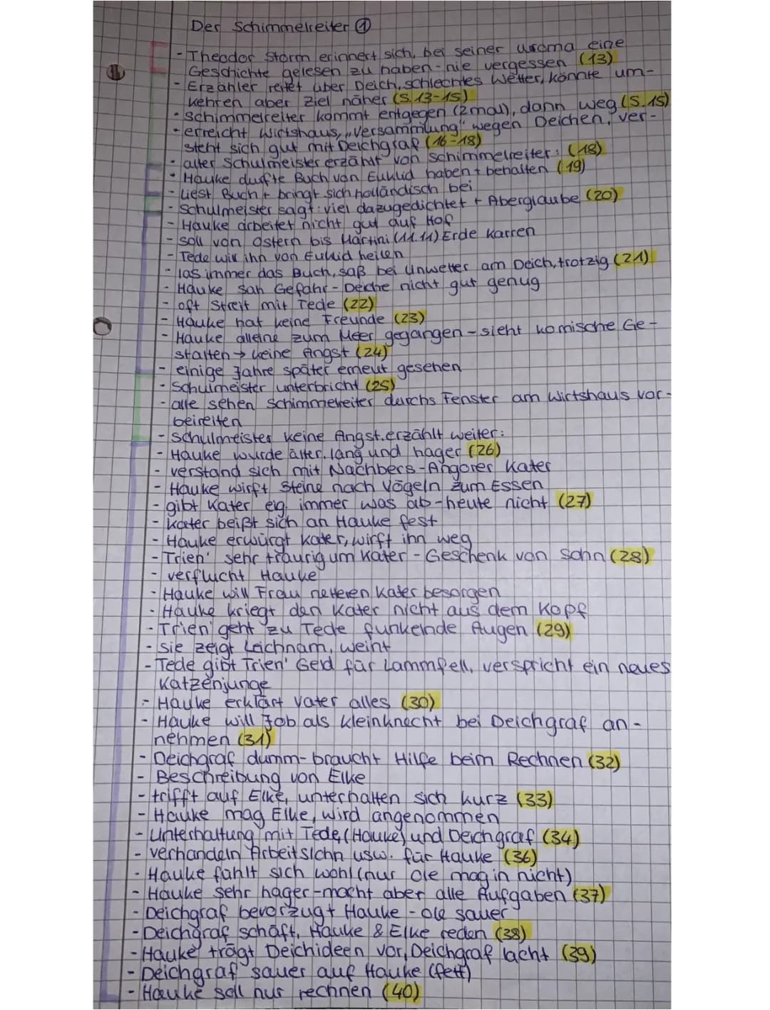 Schimmelreiter Zusammenfassung+Charaktere