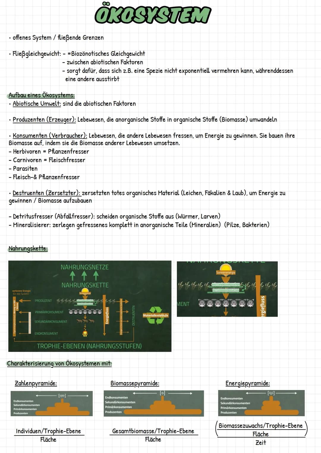 offenes System / fließende Grenzen
• Fließgleichgewicht: - = Biozönotisches Gleichgewicht
- zwischen abiotischen Faktoren
Aufbau eines Ökosy