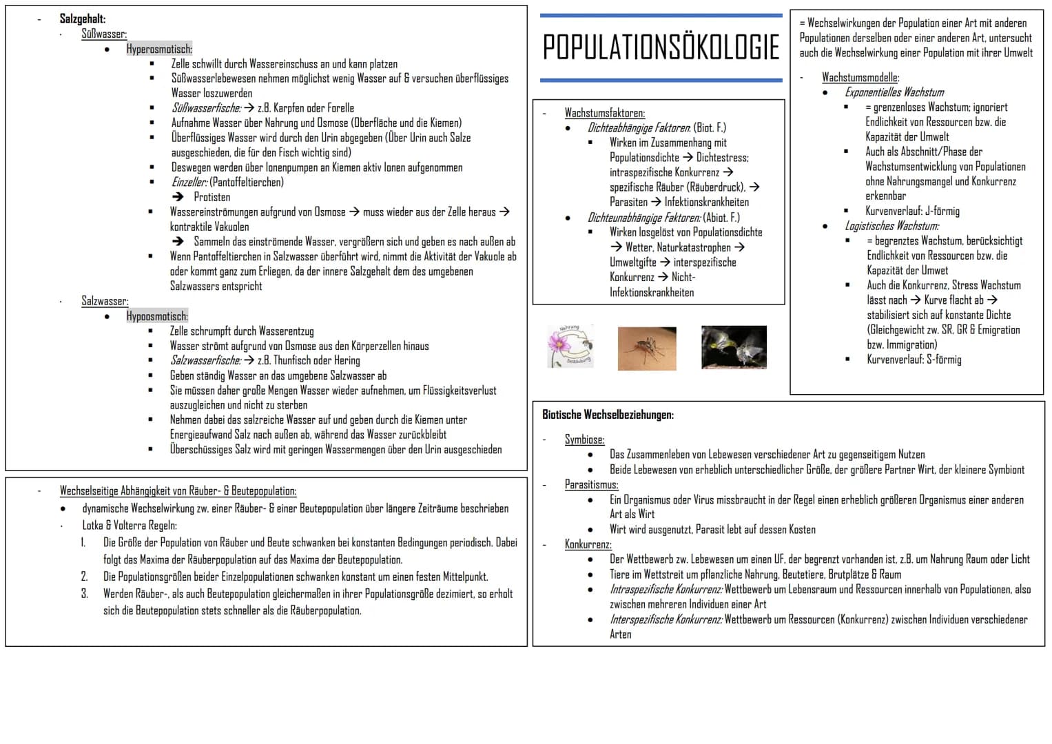 GRUNDLAGEN NEUROBIOLOGIE
Nervenzellen (=Neuronen)
Grundbaustein des Nervensystems = Neuronen
Unterscheidung: (nach Aufgaben (funktional))
Se