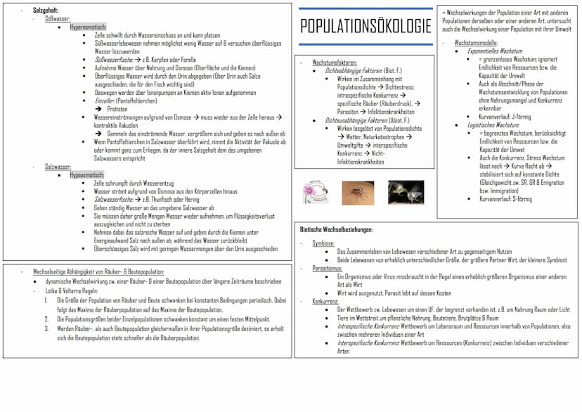 GRUNDLAGEN NEUROBIOLOGIE
Nervenzellen (=Neuronen)
Grundbaustein des Nervensystems = Neuronen
Unterscheidung: (nach Aufgaben (funktional))
Se