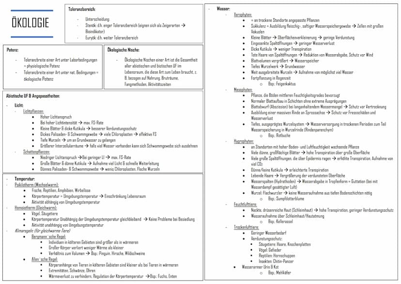 GRUNDLAGEN NEUROBIOLOGIE
Nervenzellen (=Neuronen)
Grundbaustein des Nervensystems = Neuronen
Unterscheidung: (nach Aufgaben (funktional))
Se