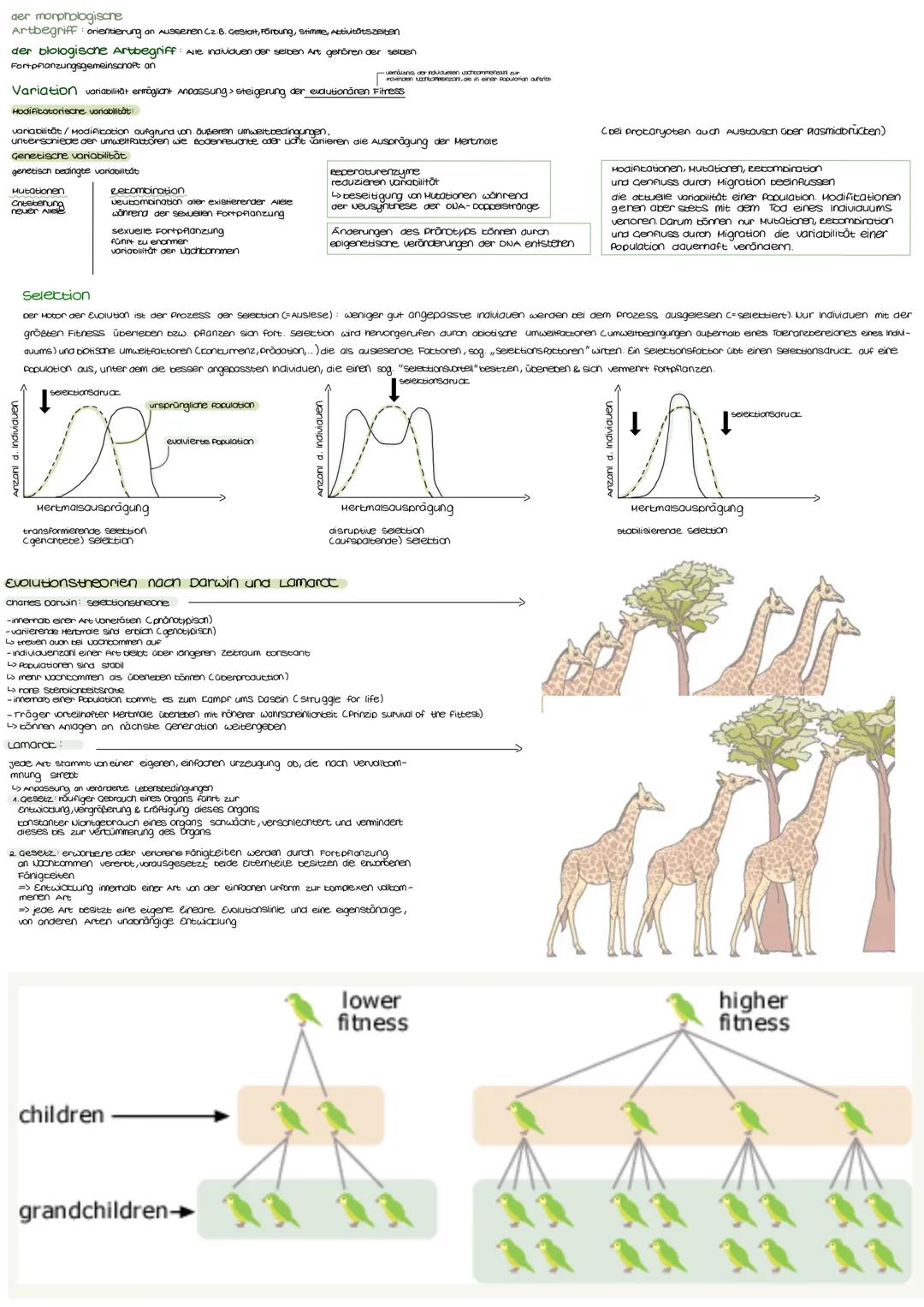 Anzoni d. individuen

der morphologische
Artbegriff: orientierung on Ausseren (2.8. Gesian, Föroung, stimme, Activitissanten

der blologison