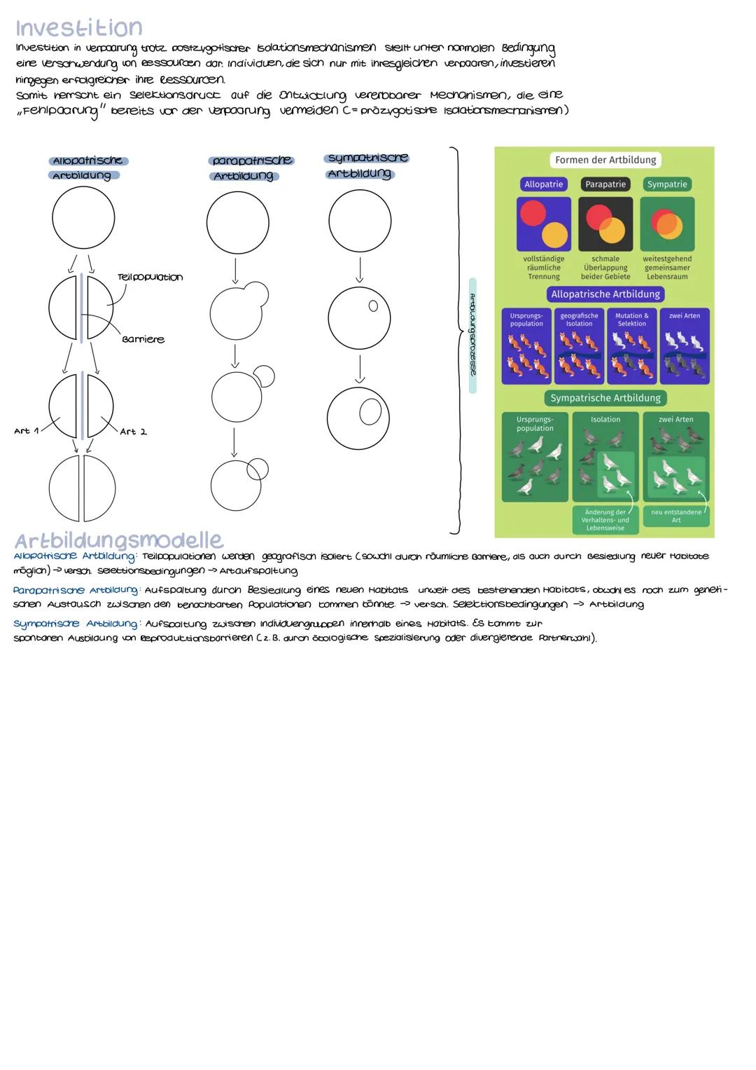 Anzoni d. individuen

der morphologische
Artbegriff: orientierung on Ausseren (2.8. Gesian, Föroung, stimme, Activitissanten

der blologison