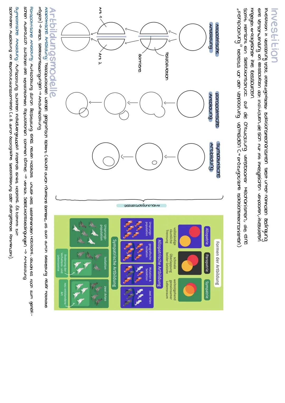 Anzoni d. individuen

der morphologische
Artbegriff: orientierung on Ausseren (2.8. Gesian, Föroung, stimme, Activitissanten

der blologison