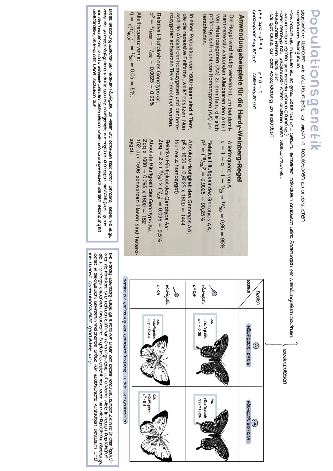 Anzoni d. individuen

der morphologische
Artbegriff: orientierung on Ausseren (2.8. Gesian, Föroung, stimme, Activitissanten

der blologison