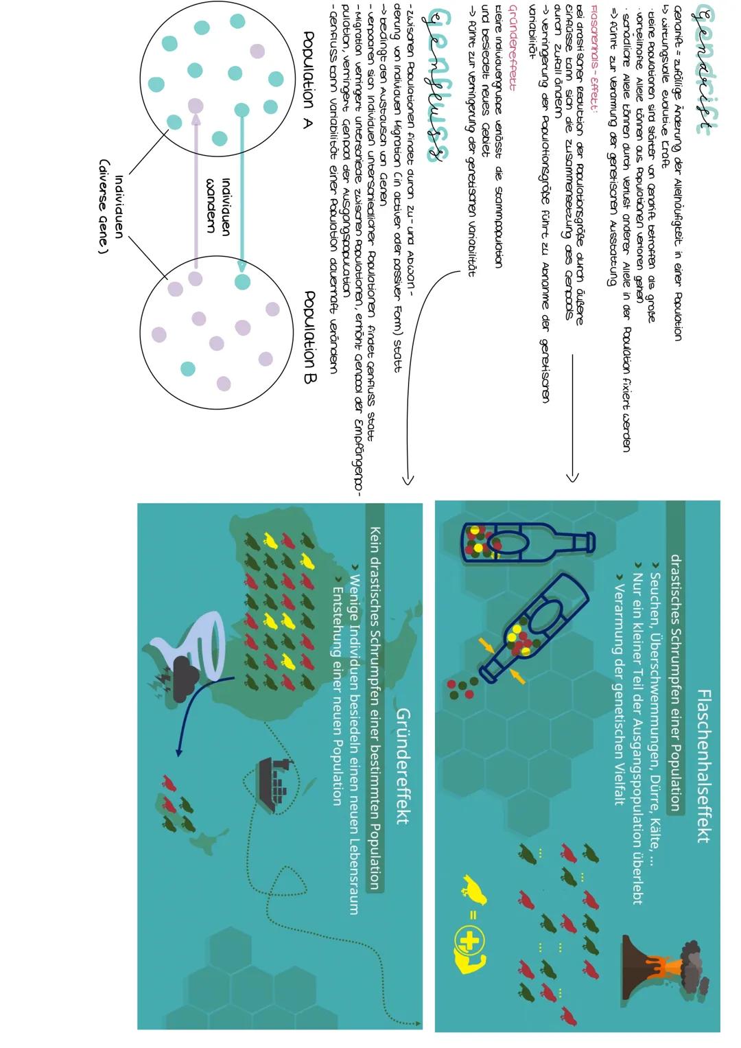Anzoni d. individuen

der morphologische
Artbegriff: orientierung on Ausseren (2.8. Gesian, Föroung, stimme, Activitissanten

der blologison