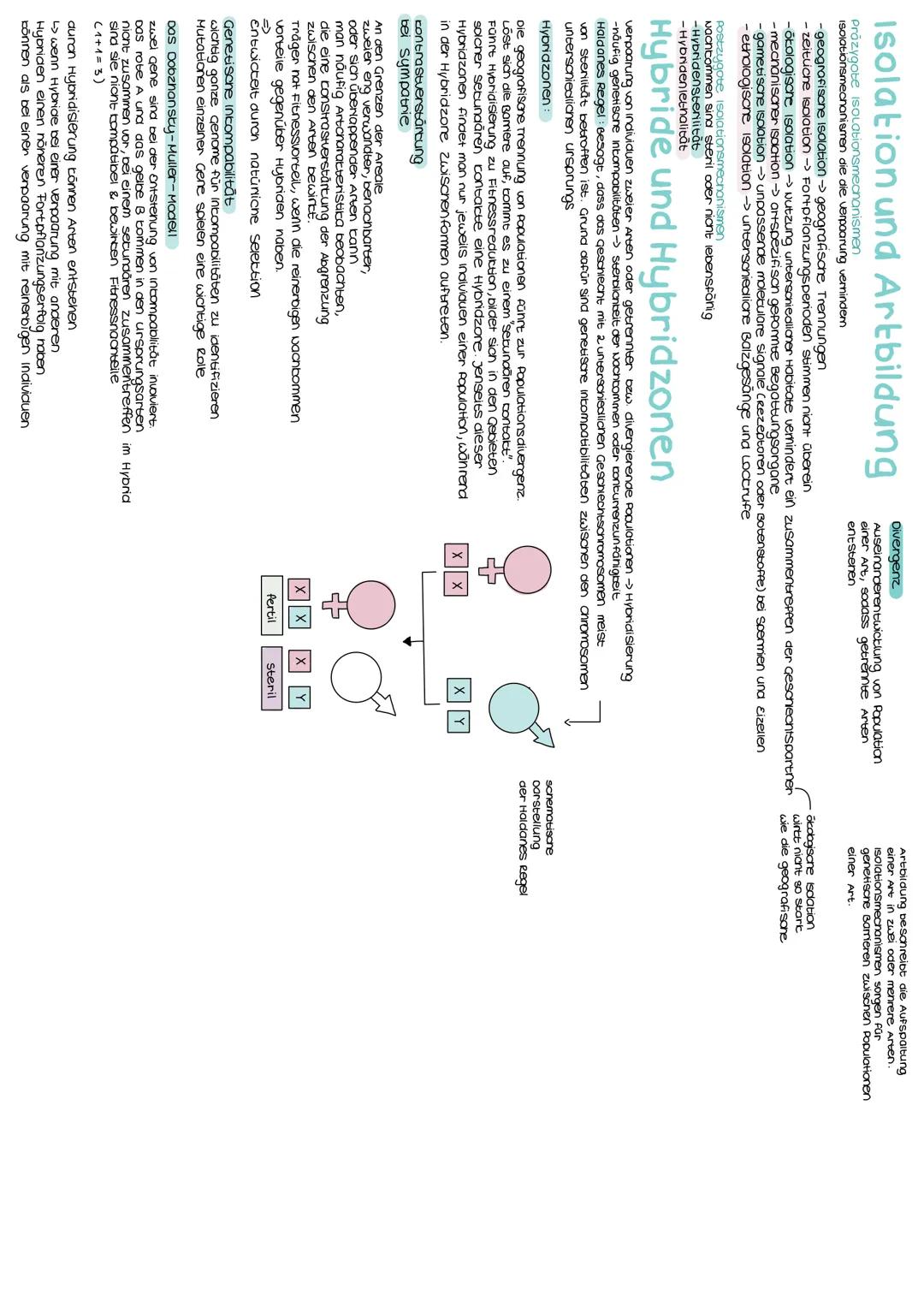 Anzoni d. individuen

der morphologische
Artbegriff: orientierung on Ausseren (2.8. Gesian, Föroung, stimme, Activitissanten

der blologison