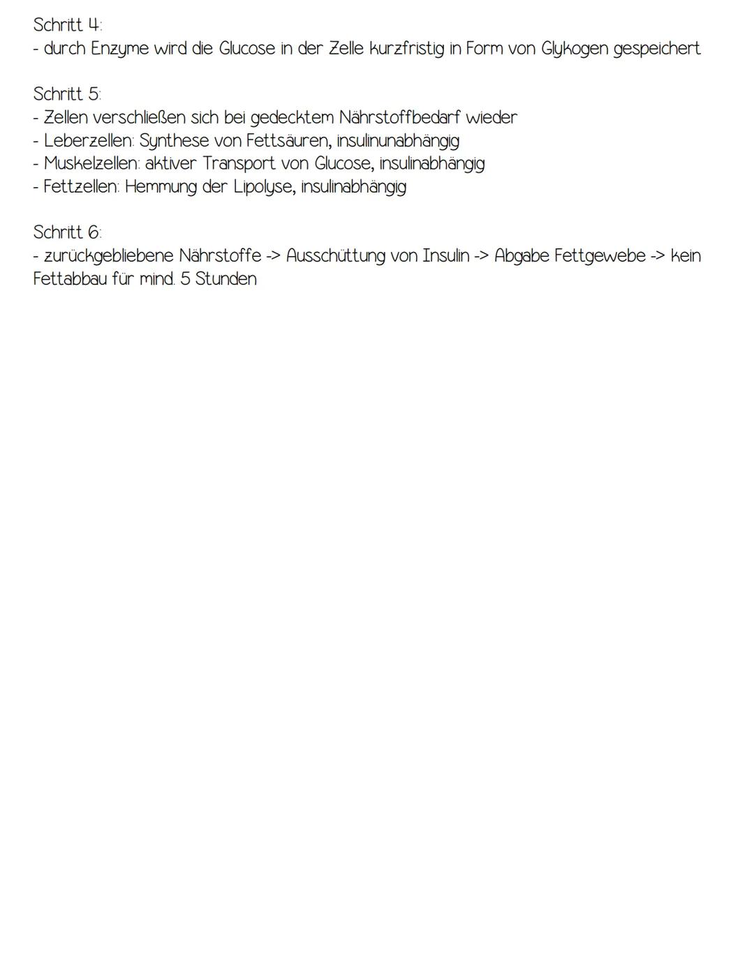 Bauchspeicheldrüse

ISULIN

Glucose

Glucose

Glucose

Glucose

Glykolyse

Glykogen-
biosynthese

Lipogenese

Lipogenese

Glucose

Fettgeweb
