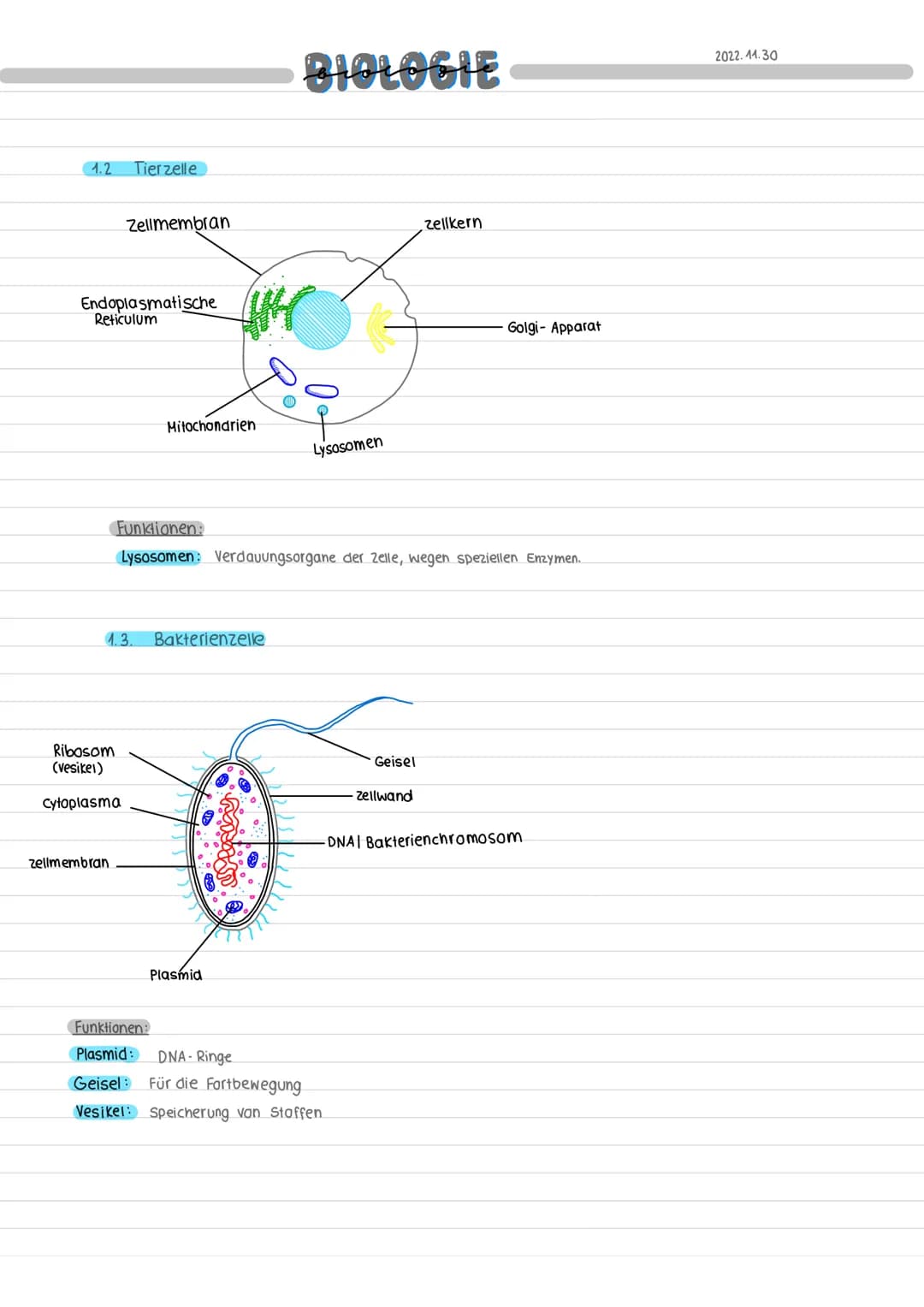 1 Funktion und Aufbau Zellen:
1.1
Pflanzenzelle
cytoskelett
Zellmembran.
Zellwand
Chloroplasten
Mitochondrien
BIOLOGIE
Vakuole
Tono plast
Go