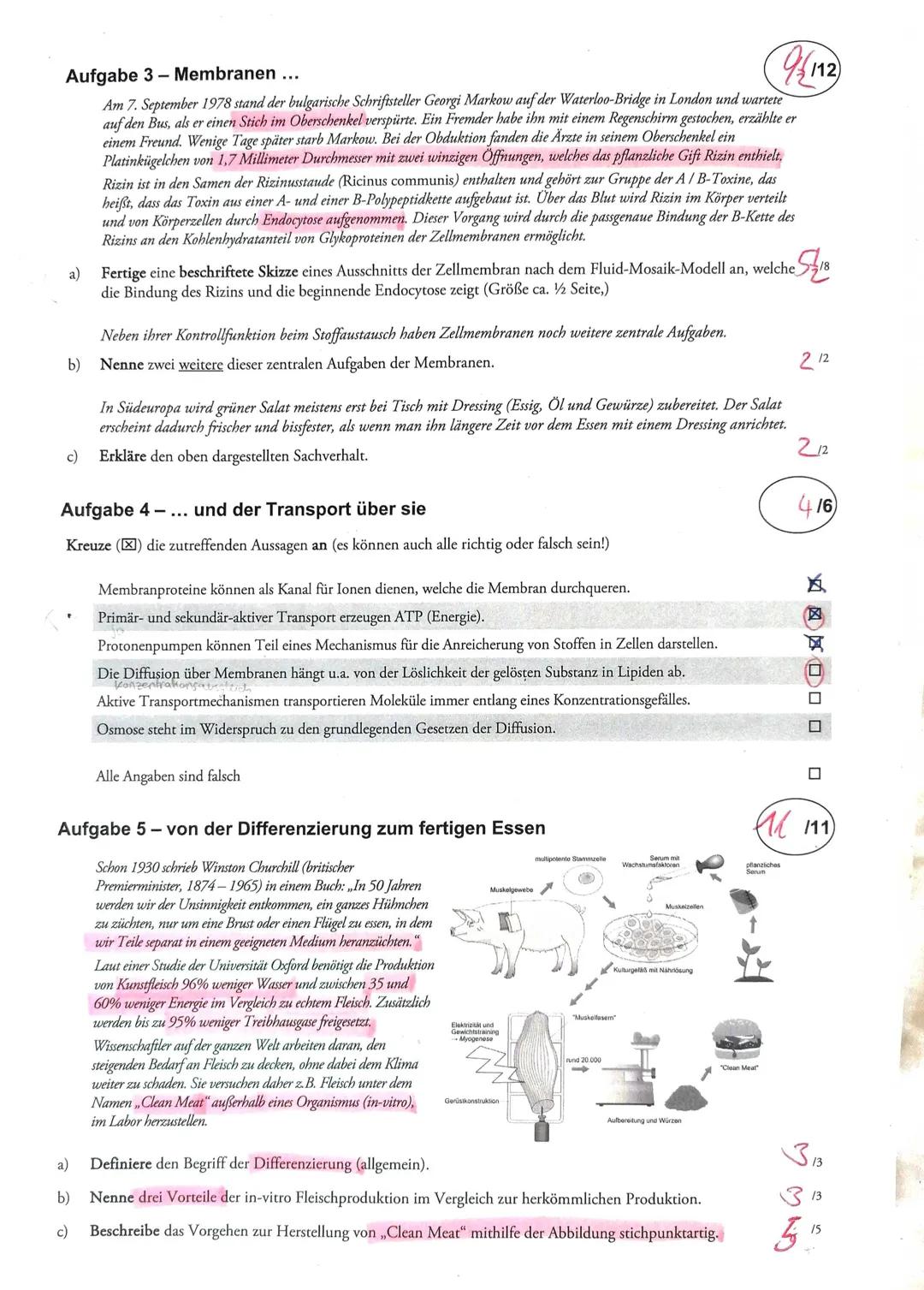 Klausur 1-Zellbiologie
Aufgabe I - Grundlagen
a) Erstelle eine Tabelle (4 Spalten, 9 Zeilen) und benenne darin die in a) abgebildeten Organe