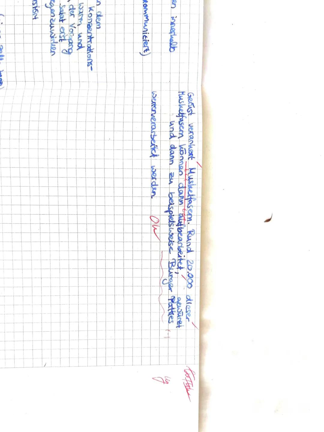 Klausur 1-Zellbiologie
Aufgabe I - Grundlagen
a) Erstelle eine Tabelle (4 Spalten, 9 Zeilen) und benenne darin die in a) abgebildeten Organe