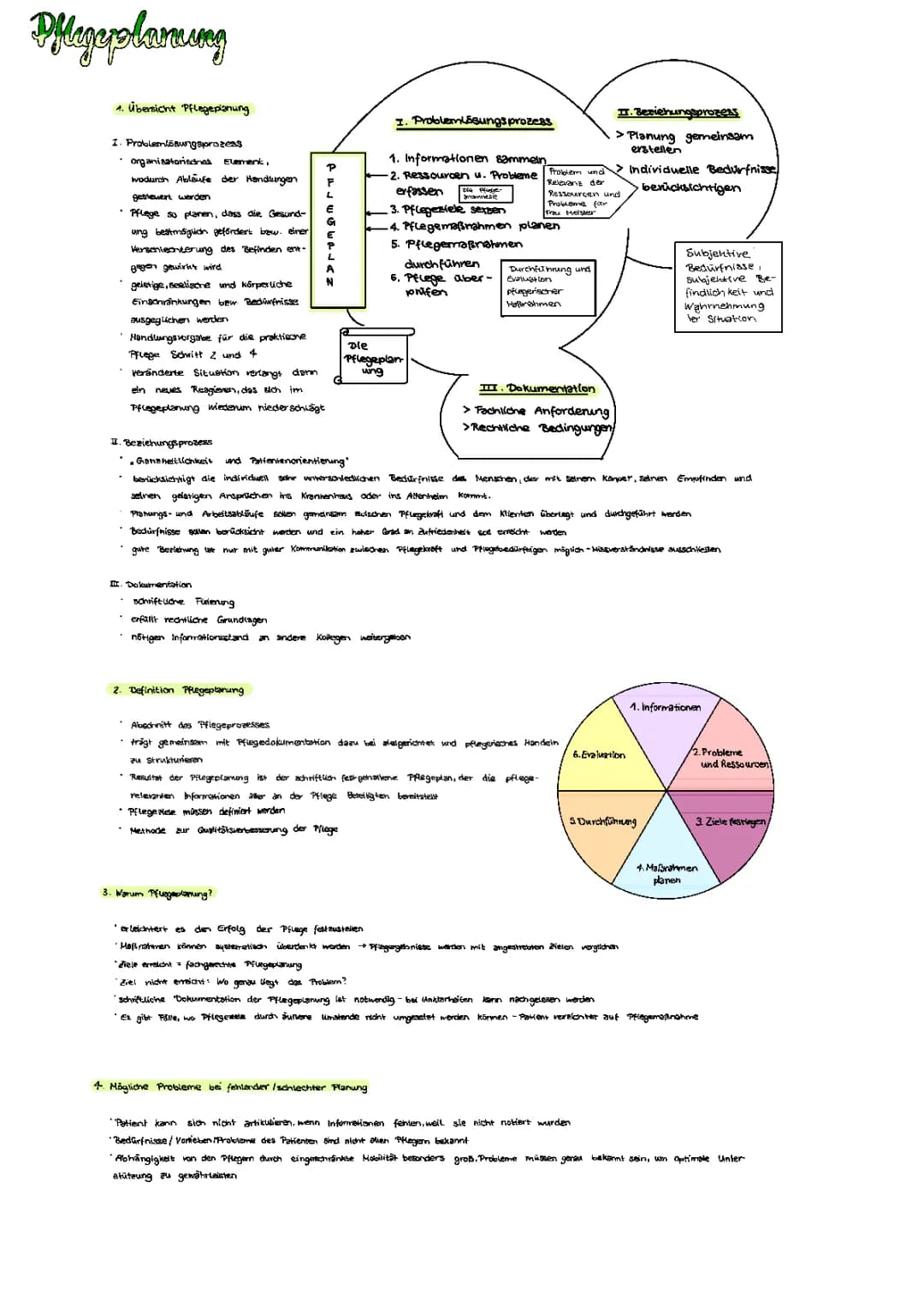 pflegeplanung 