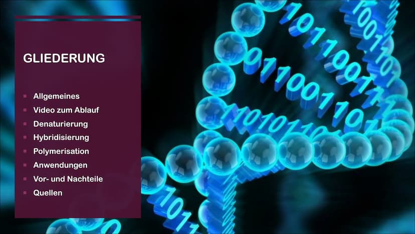 POLYMERASE-KETTENREAKTION
EINE PRÄSENTATION VON CASSANDRA CZICHOCKI GLIEDERUNG
■ Allgemeines
Video zum Ablauf
▪ Denaturierung
▪ Hybridisieru