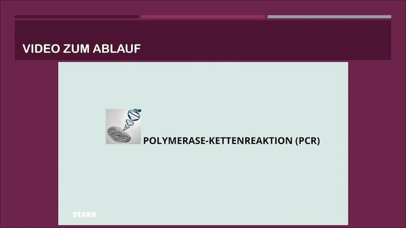 POLYMERASE-KETTENREAKTION
EINE PRÄSENTATION VON CASSANDRA CZICHOCKI GLIEDERUNG
■ Allgemeines
Video zum Ablauf
▪ Denaturierung
▪ Hybridisieru