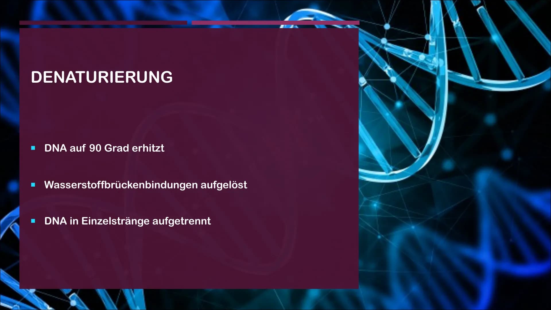 POLYMERASE-KETTENREAKTION
EINE PRÄSENTATION VON CASSANDRA CZICHOCKI GLIEDERUNG
■ Allgemeines
Video zum Ablauf
▪ Denaturierung
▪ Hybridisieru