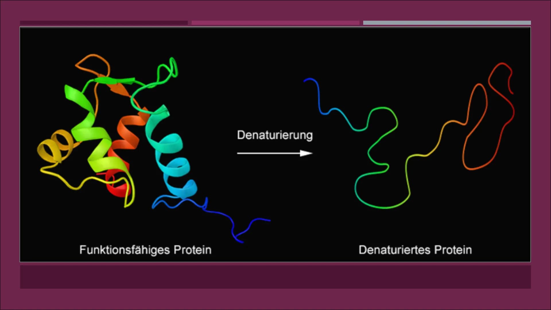 POLYMERASE-KETTENREAKTION
EINE PRÄSENTATION VON CASSANDRA CZICHOCKI GLIEDERUNG
■ Allgemeines
Video zum Ablauf
▪ Denaturierung
▪ Hybridisieru