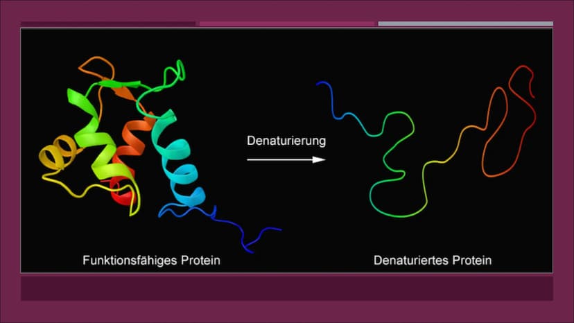POLYMERASE-KETTENREAKTION
EINE PRÄSENTATION VON CASSANDRA CZICHOCKI GLIEDERUNG
■ Allgemeines
Video zum Ablauf
▪ Denaturierung
▪ Hybridisieru