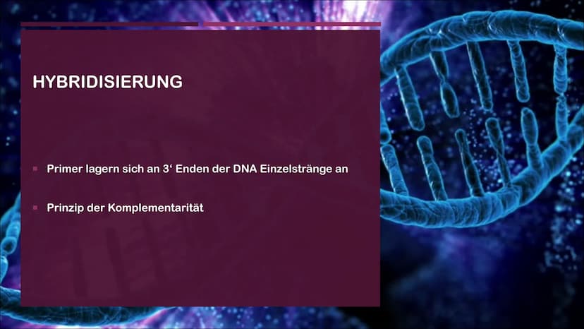 POLYMERASE-KETTENREAKTION
EINE PRÄSENTATION VON CASSANDRA CZICHOCKI GLIEDERUNG
■ Allgemeines
Video zum Ablauf
▪ Denaturierung
▪ Hybridisieru