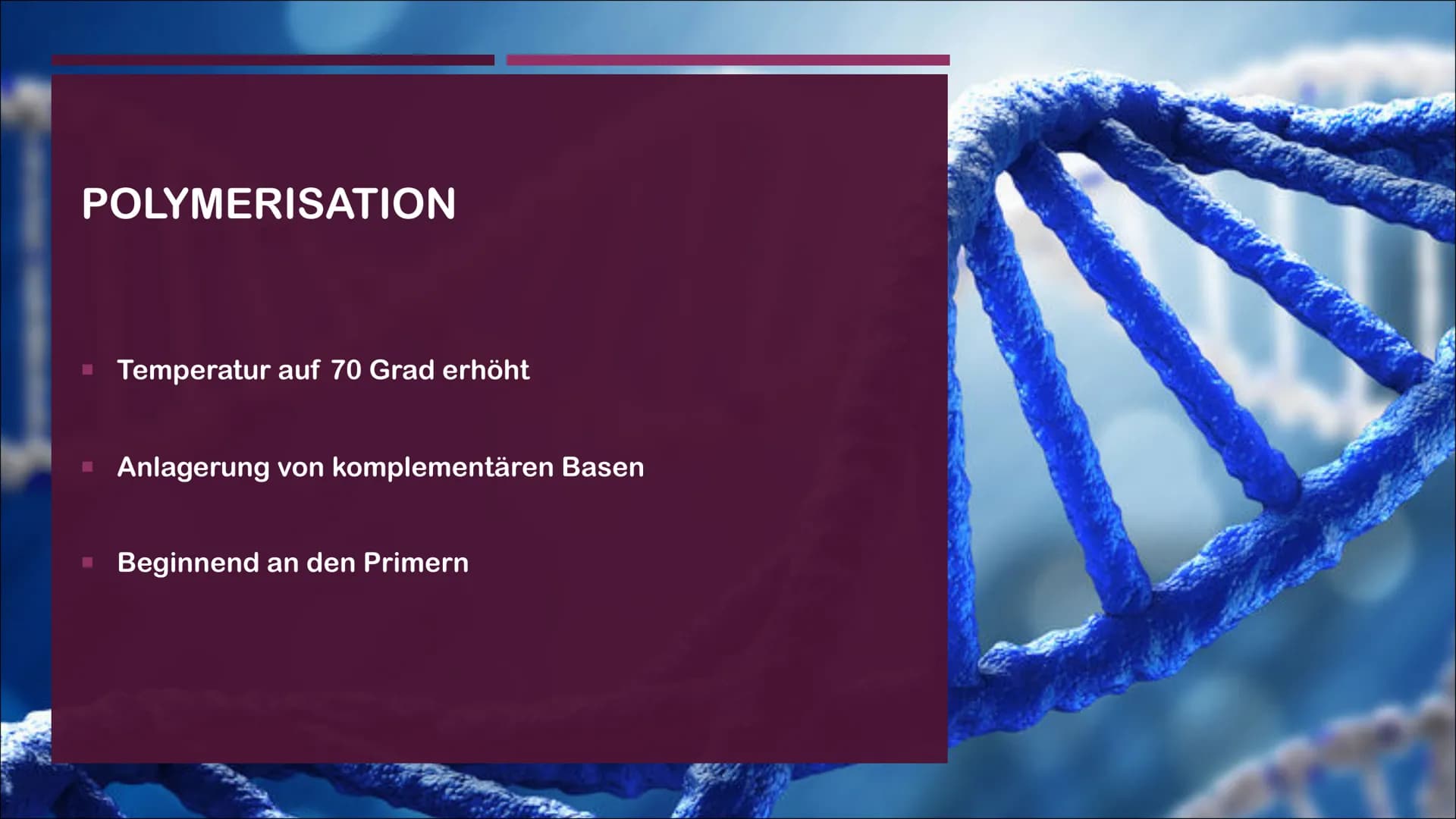 POLYMERASE-KETTENREAKTION
EINE PRÄSENTATION VON CASSANDRA CZICHOCKI GLIEDERUNG
■ Allgemeines
Video zum Ablauf
▪ Denaturierung
▪ Hybridisieru