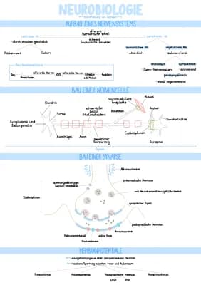 Know Neurobiologie thumbnail