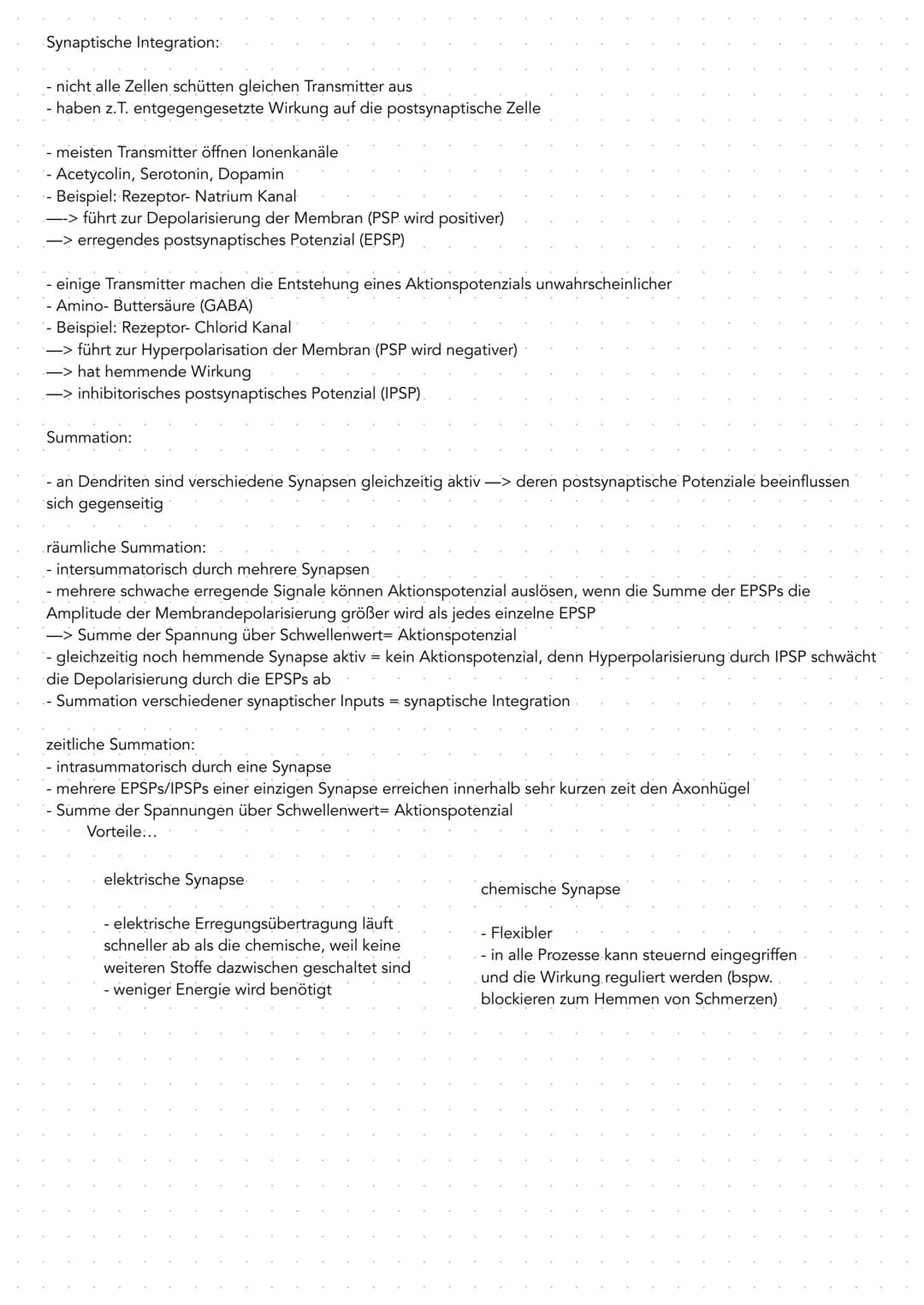 GRUNDLAGEN
-Nervensystem bestent aus 2. Hauptlypen von Zellen
Gliazellen Bindegewebszellen, übernehmen Stützfunktionen,
ernähren Nervenzelle
