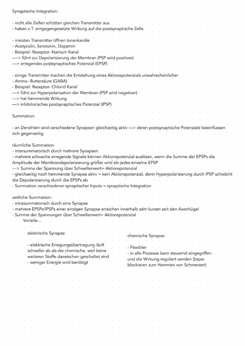 GRUNDLAGEN
-Nervensystem bestent aus 2. Hauptlypen von Zellen
Gliazellen Bindegewebszellen, übernehmen Stützfunktionen,
ernähren Nervenzelle