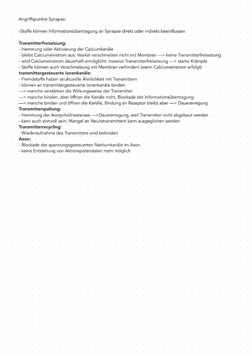 GRUNDLAGEN
-Nervensystem bestent aus 2. Hauptlypen von Zellen
Gliazellen Bindegewebszellen, übernehmen Stützfunktionen,
ernähren Nervenzelle