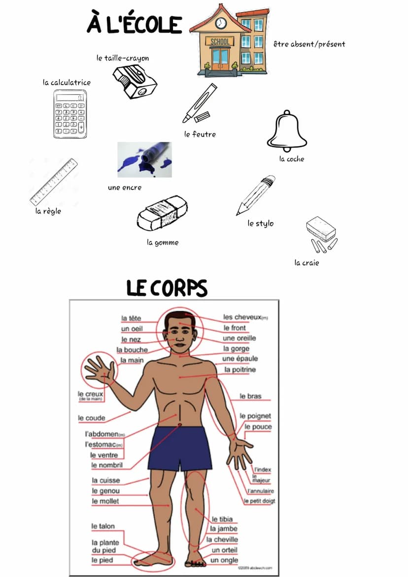 que
ове
·FÜR DELF SE PRESENTER
1.indiquer son nom:
Je m'appelle .../Mon nom est.../prénom est.../ Je suis...
2.parler de son âge (et de son 