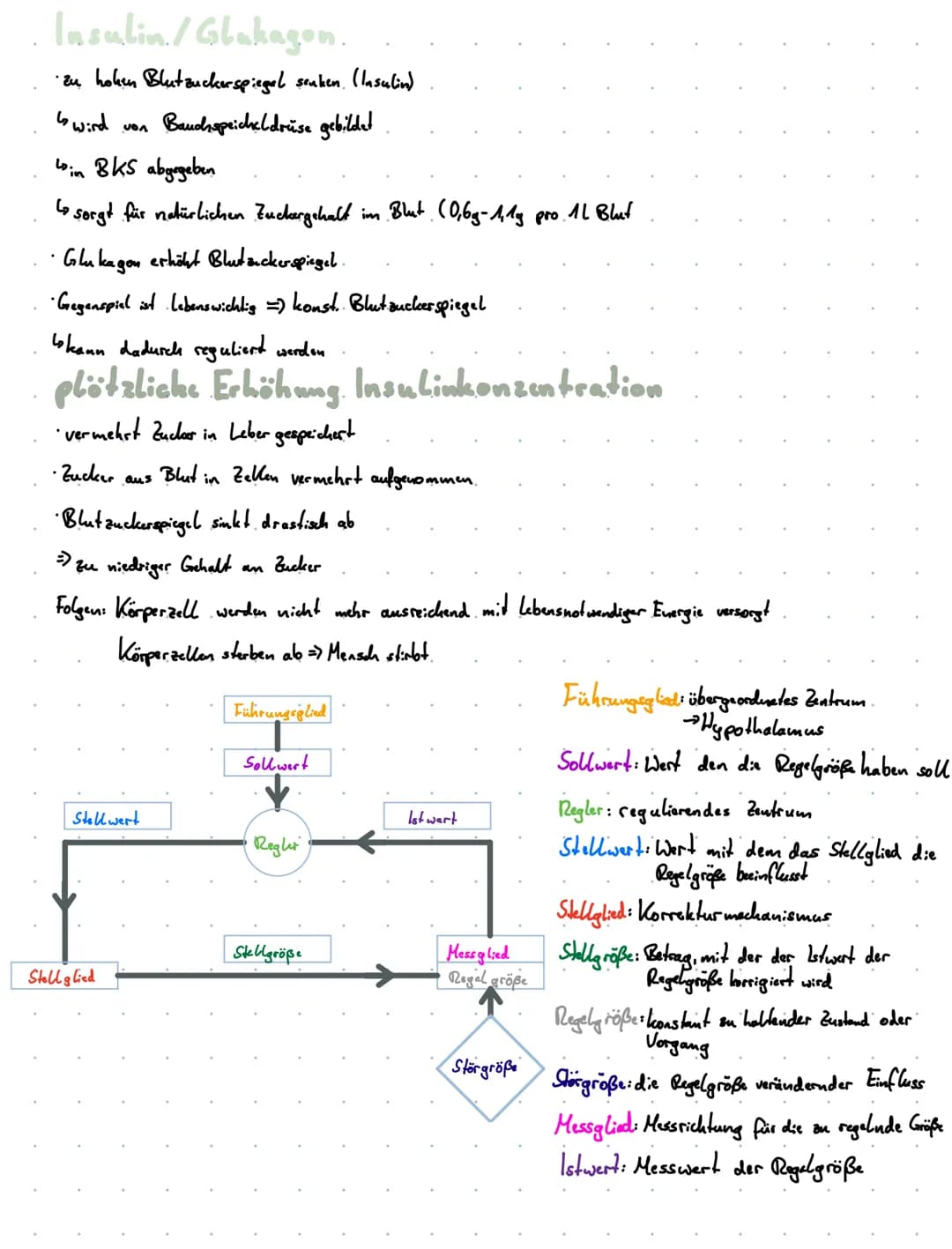 Hormonsystem des. Menschen.
Übersiched, der for usandrasen
Hormon drüse
Hypophyse.
Epiphyse
Schilddrüse
Thymus (drüse)
Neben nieren
2
Keindr