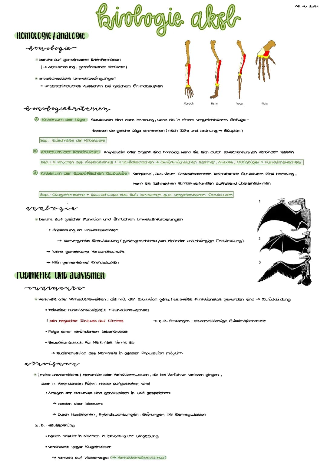 analogie/homologie + rudimente/atavismen