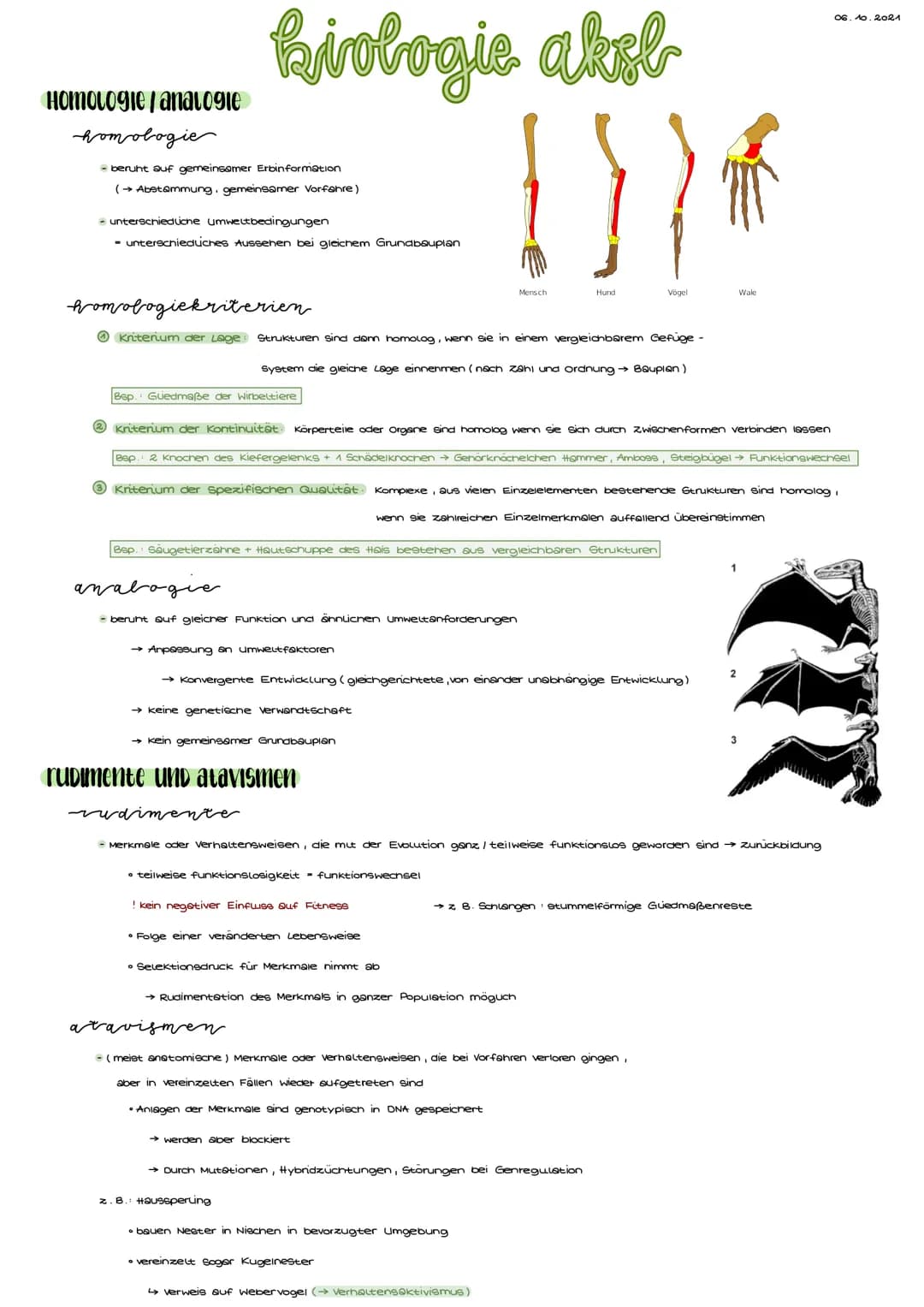Homologie/analogie
homologie
- beruht auf gemeinsamer Erbinformation
(→ Abstammung, gemeinsamer Vorfahre)
- unterschiedliche Umweltbedingung