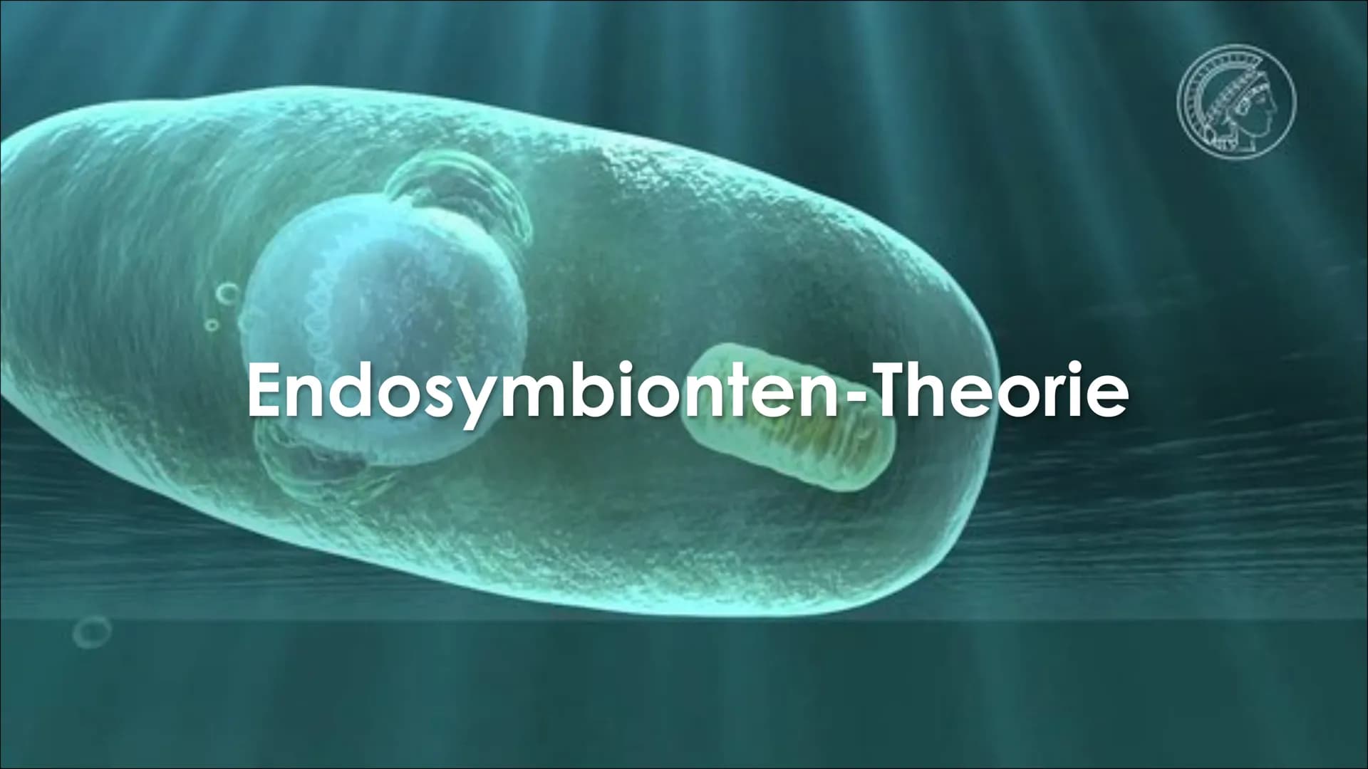 Endosymbionten-Theorie Inhaltsverzeichnis
●
Definition
Endosymbiontentheorie
• Endocytose
• Erklärung der
Endosymbiontentheorie
Zusammenfass