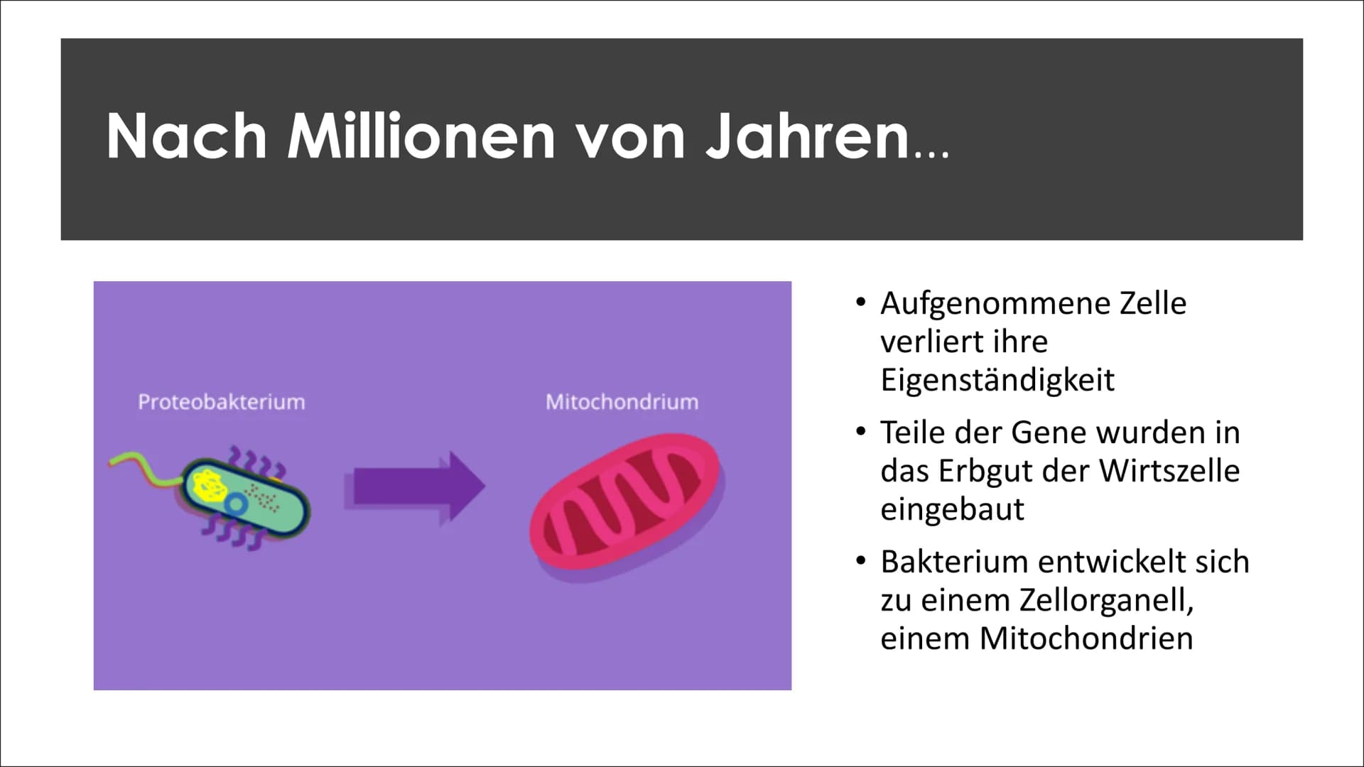 Endosymbionten-Theorie Inhaltsverzeichnis
●
Definition
Endosymbiontentheorie
• Endocytose
• Erklärung der
Endosymbiontentheorie
Zusammenfass