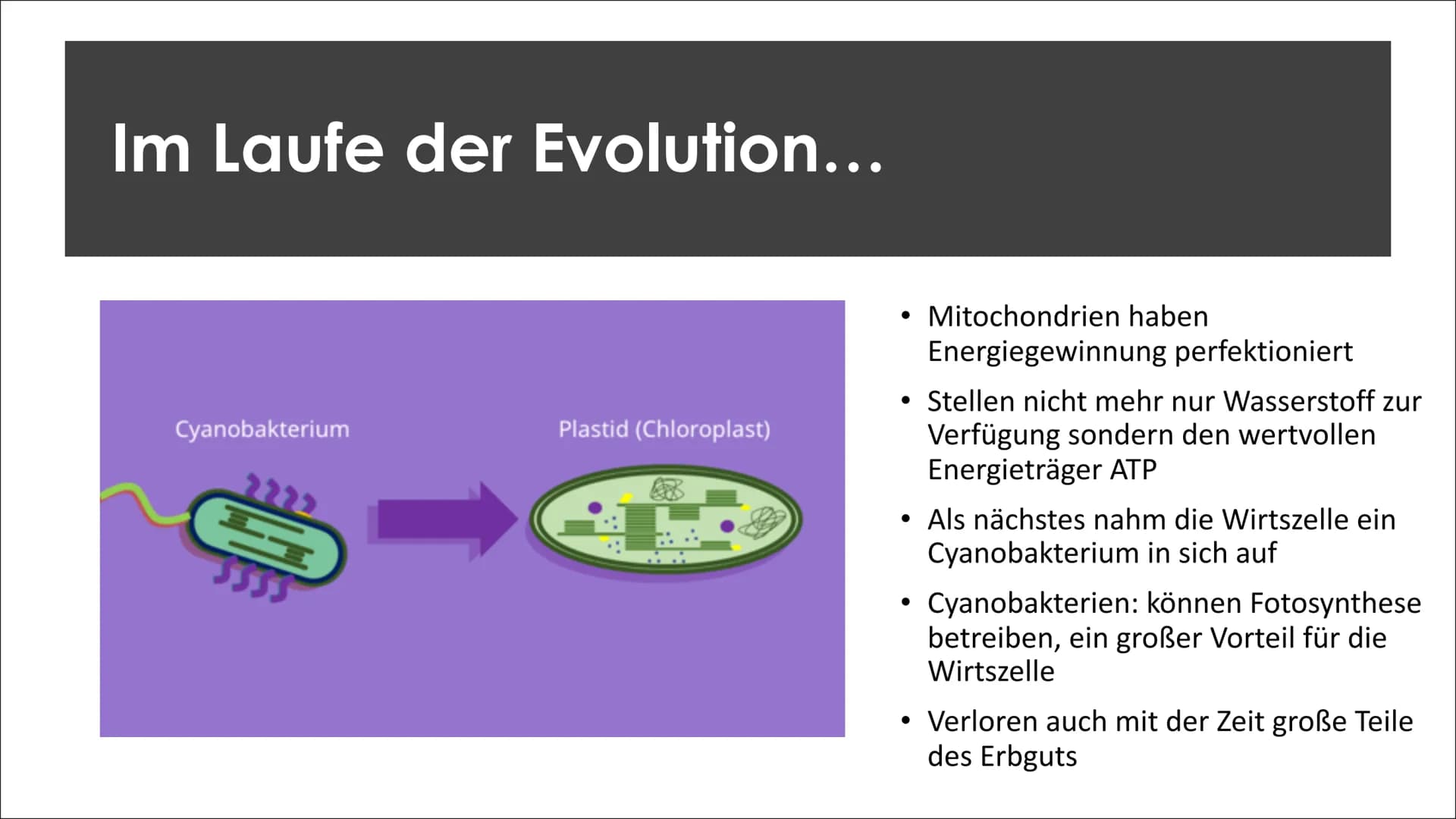 Endosymbionten-Theorie Inhaltsverzeichnis
●
Definition
Endosymbiontentheorie
• Endocytose
• Erklärung der
Endosymbiontentheorie
Zusammenfass