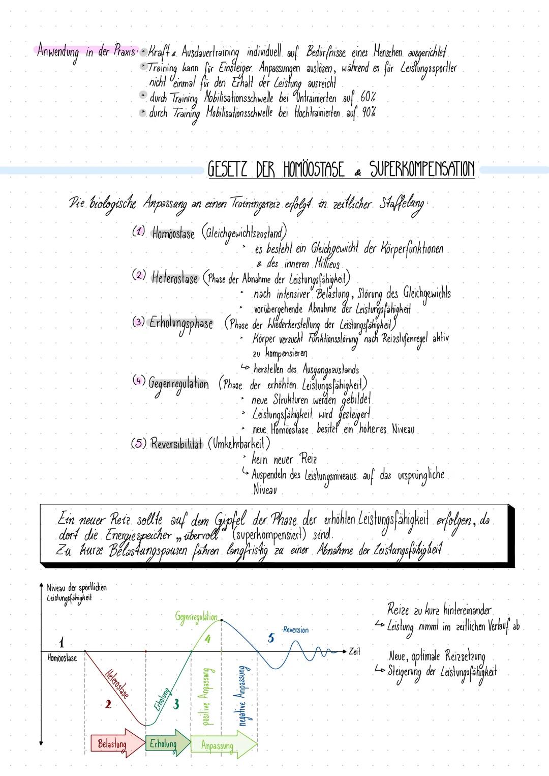 Sportliche Leistungssteigerung und Anpassung einfach erklärt