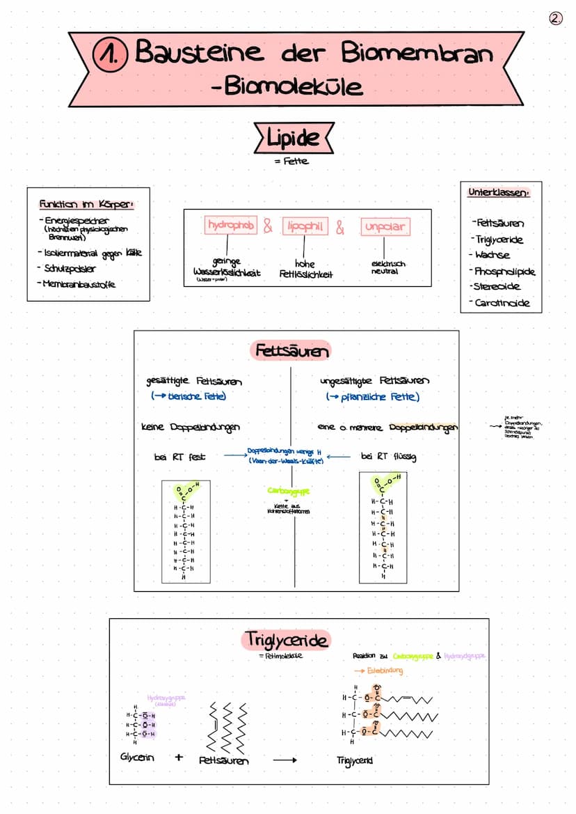 BIOLOGIE
KLAUSUR
BIOMEMBRAN
1. Bausteine der Biomembran - Biomoleküle (S. 2+3)
2. Membranmodelle (5.4)
3. Aufbau von Biomembranen (S.S)
4. F