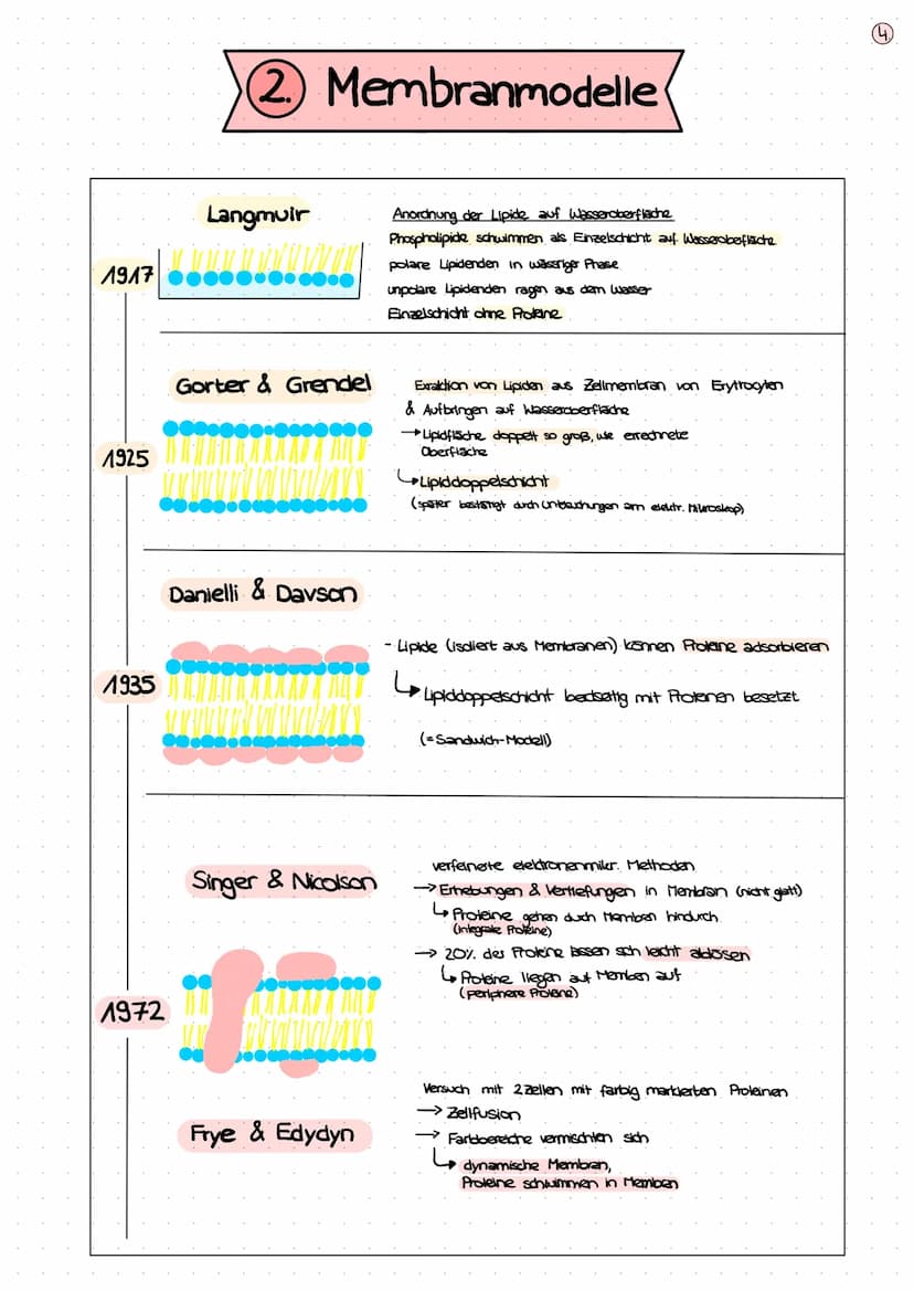 BIOLOGIE
KLAUSUR
BIOMEMBRAN
1. Bausteine der Biomembran - Biomoleküle (S. 2+3)
2. Membranmodelle (5.4)
3. Aufbau von Biomembranen (S.S)
4. F