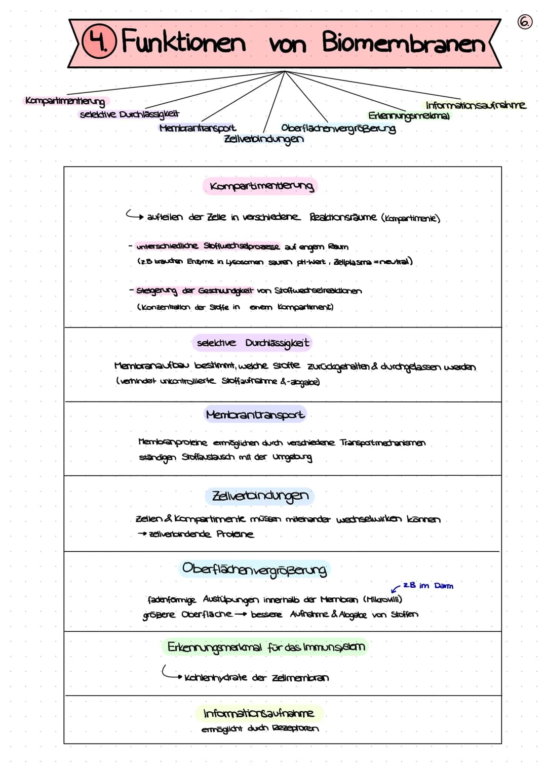 BIOLOGIE
KLAUSUR
BIOMEMBRAN
1. Bausteine der Biomembran - Biomoleküle (S. 2+3)
2. Membranmodelle (5.4)
3. Aufbau von Biomembranen (S.S)
4. F