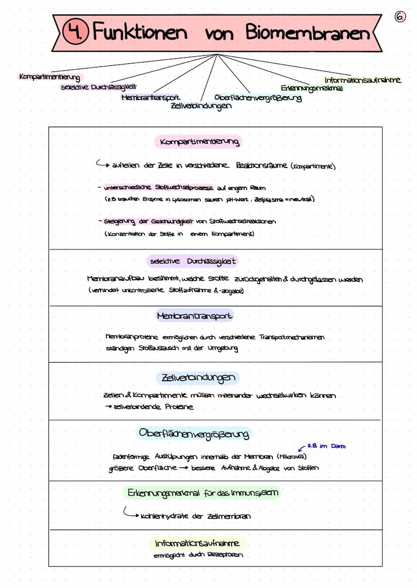 BIOLOGIE
KLAUSUR
BIOMEMBRAN
1. Bausteine der Biomembran - Biomoleküle (S. 2+3)
2. Membranmodelle (5.4)
3. Aufbau von Biomembranen (S.S)
4. F